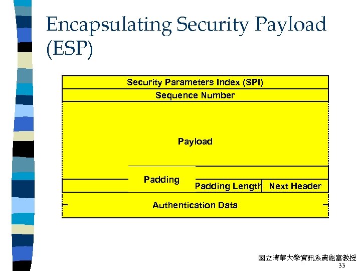 Encapsulating Security Payload (ESP) Security Parameters Index (SPI) Sequence Number Payload Padding Length Next