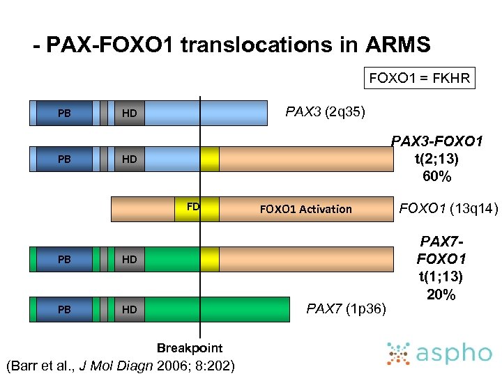 - PAX-FOXO 1 translocations in ARMS FOXO 1 = FKHR PB PB PAX 3