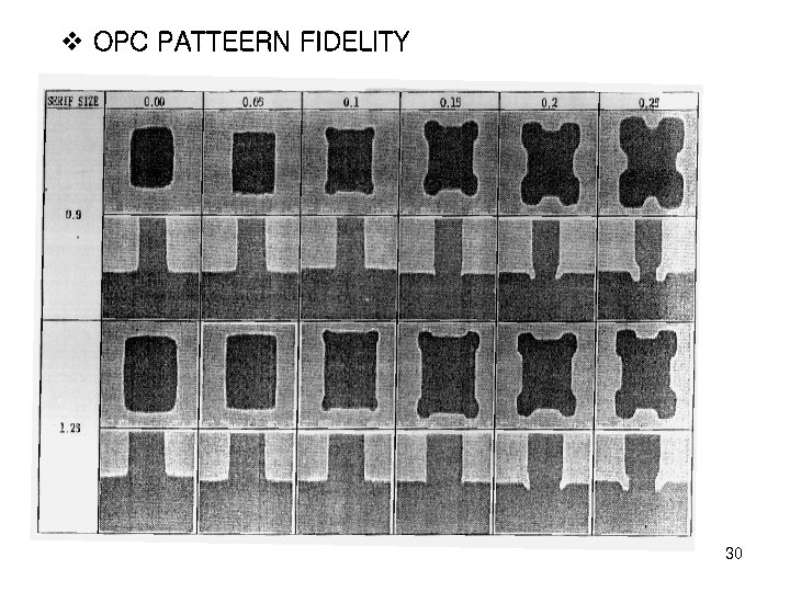 v OPC PATTEERN FIDELITY 30 