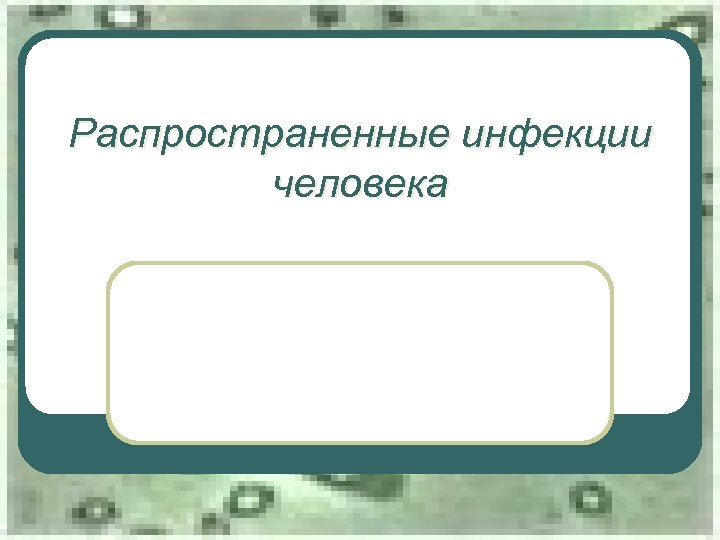 Распространенные инфекции человека 