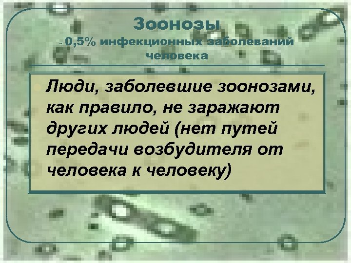 ˜ 0, 5% Зоонозы инфекционных заболеваний человека l Люди, заболевшие зоонозами, как правило, не