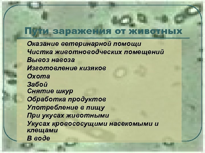 Пути заражения от животных l l l Оказание ветеринарной помощи Чистка животноводческих помещений Вывоз