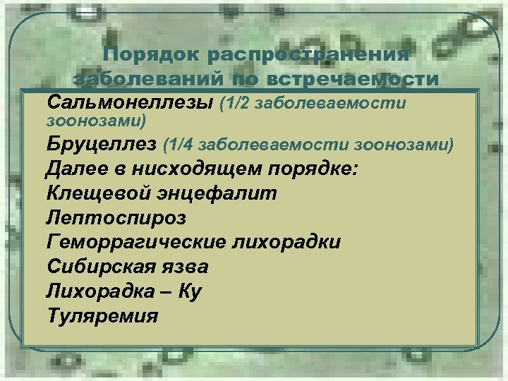 l l l l l Порядок распространения заболеваний по встречаемости Сальмонеллезы (1/2 заболеваемости зоонозами)