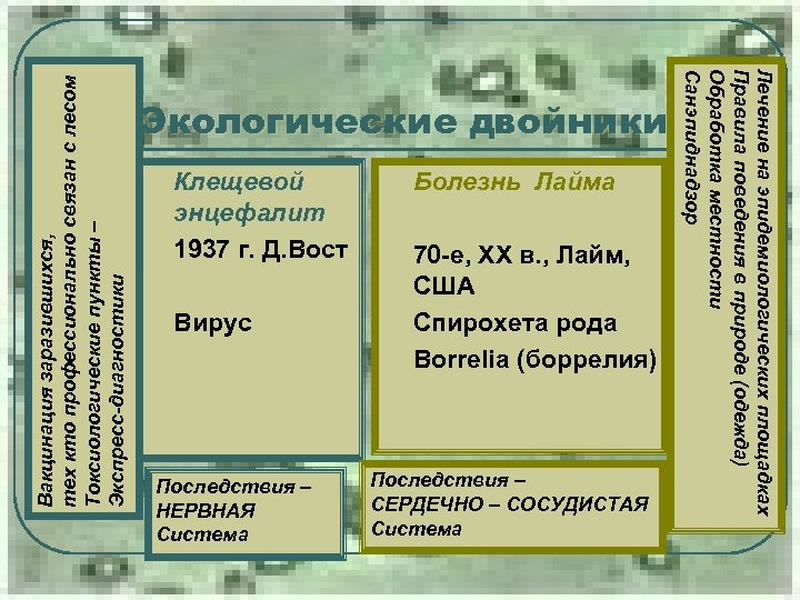 Вакцинация заразившихся, тех кто профессионально связан с лесом Токсиологические пункты – Экспресс-диагностики l Болезнь