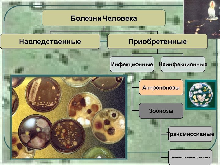 Болезни Человека Наследственные Приобретенные Инфекционные Неинфекционные Антропонозы Зоонозы Трансмиссивные Связанные с домашними и с/х