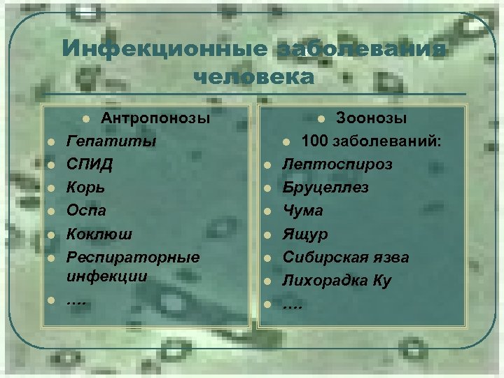 Инфекционные заболевания человека Антропонозы Гепатиты СПИД Корь Оспа Коклюш Респираторные инфекции …. l l
