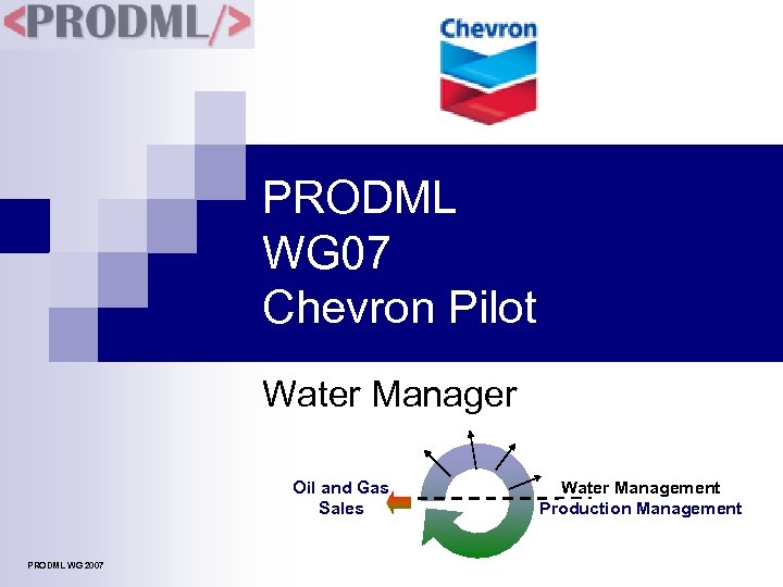 PRODML WG 07 Chevron Pilot Water Manager Oil and Gas Sales PRODML WG 2007