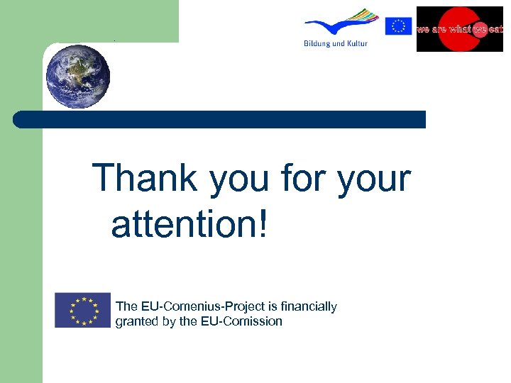 Thank you for your attention! The EU-Comenius-Project is financially granted by the EU-Comission 