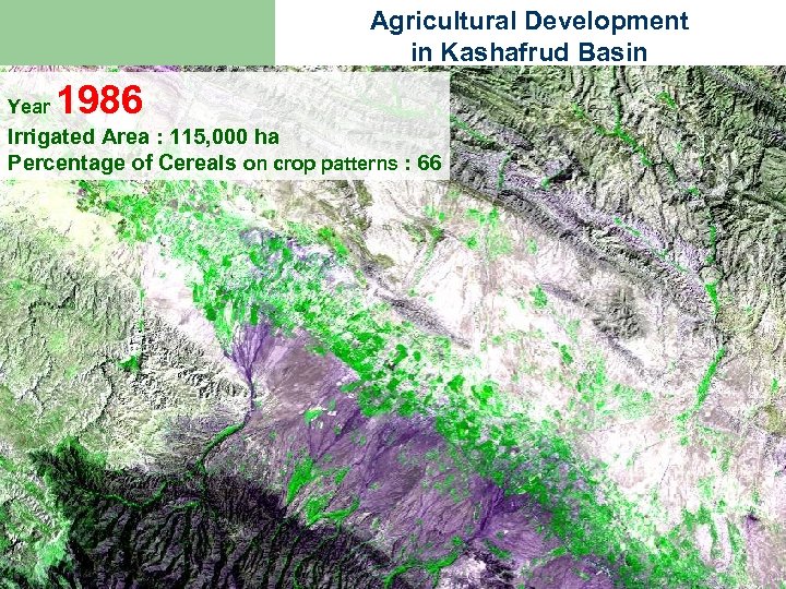 Agricultural Development in Kashafrud Basin Year 1986 Irrigated Area : 115, 000 ha Percentage