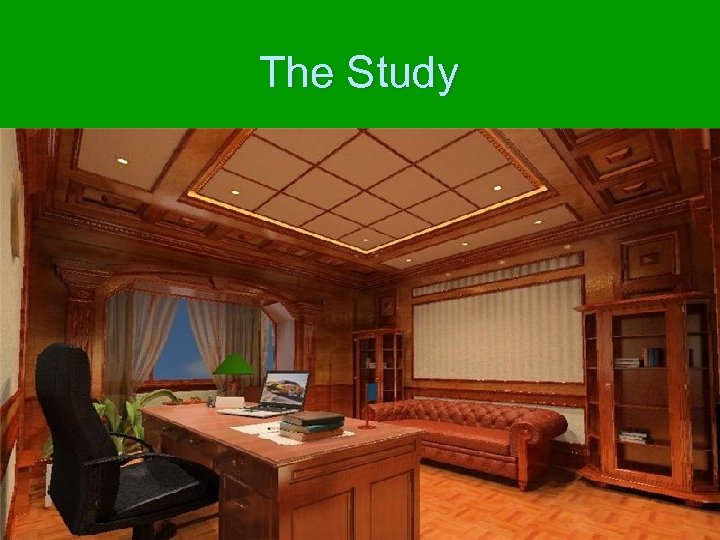 The Study 