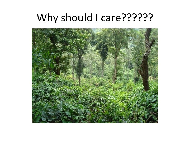 Why should I care? ? ? 