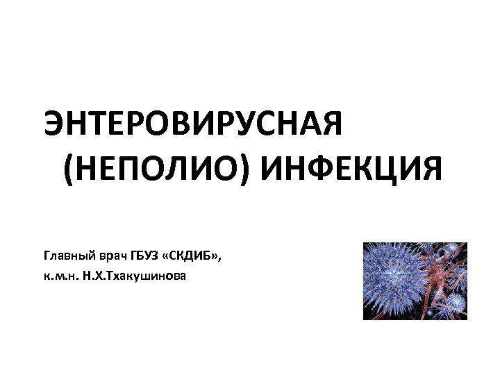 ЭНТЕРОВИРУСНАЯ (НЕПОЛИО) ИНФЕКЦИЯ Главный врач ГБУЗ «СКДИБ» , к. м. н. Н. Х. Тхакушинова