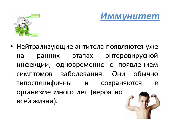Иммунитет • Нейтрализующие антитела появляются уже на ранних этапах энтеровирусной инфекции, одновременно с появлением