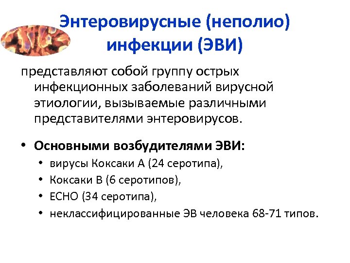 Энтеровирусные (неполио) инфекции (ЭВИ) представляют собой группу острых инфекционных заболеваний вирусной этиологии, вызываемые различными