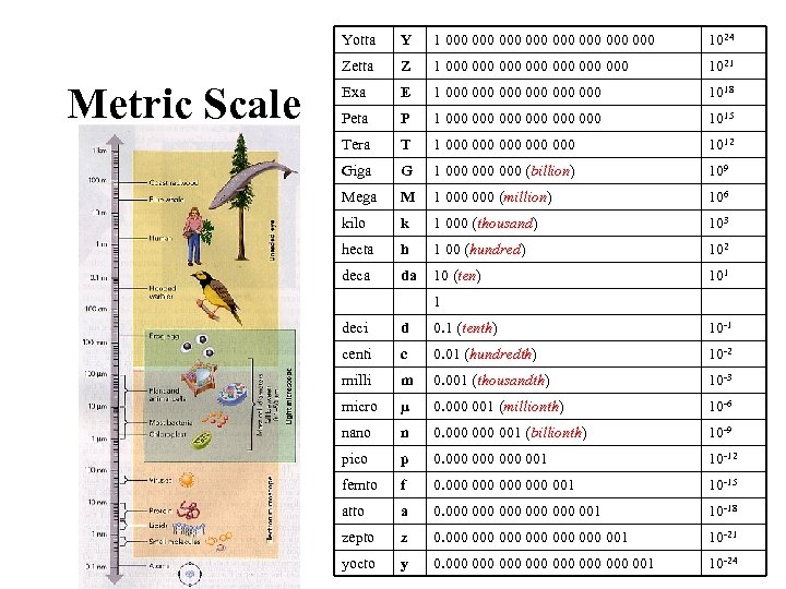 Yotta 1 000 000 1024 Zetta Metric Scale Y Z 1 000 000 1021