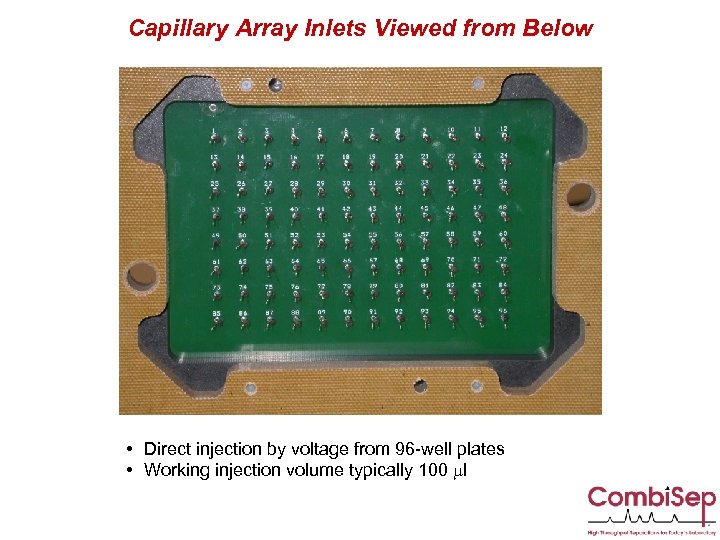 Capillary Array Inlets Viewed from Below • Direct injection by voltage from 96 -well