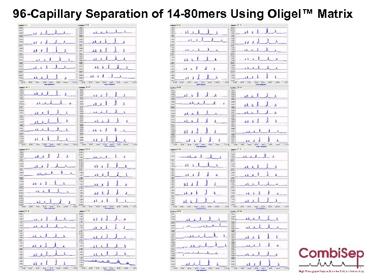 96 -Capillary Separation of 14 -80 mers Using Oligel™ Matrix 