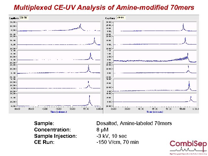 Multiplexed CE-UV Analysis of Amine-modified 70 mers Sample: Concentration: Sample Injection: CE Run: Desalted,