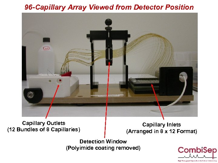 96 -Capillary Array Viewed from Detector Position Capillary Outlets (12 Bundles of 8 Capillaries)