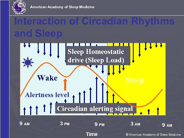 American Academy of Sleep Medicine Interaction of Circadian Rhythms and Sleep Homeostatic drive (Sleep