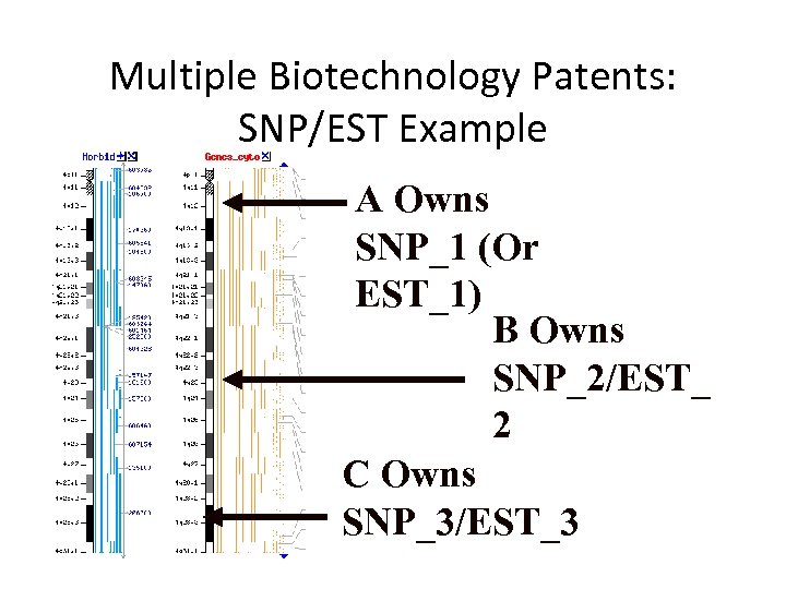 Multiple Biotechnology Patents: SNP/EST Example A Owns SNP_1 (Or EST_1) B Owns SNP_2/EST_ 2