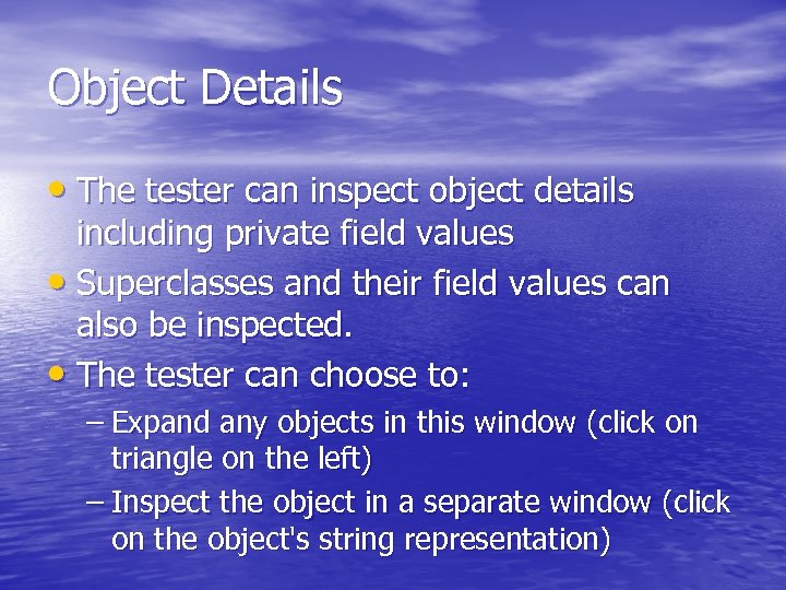 Object Details • The tester can inspect object details including private field values •