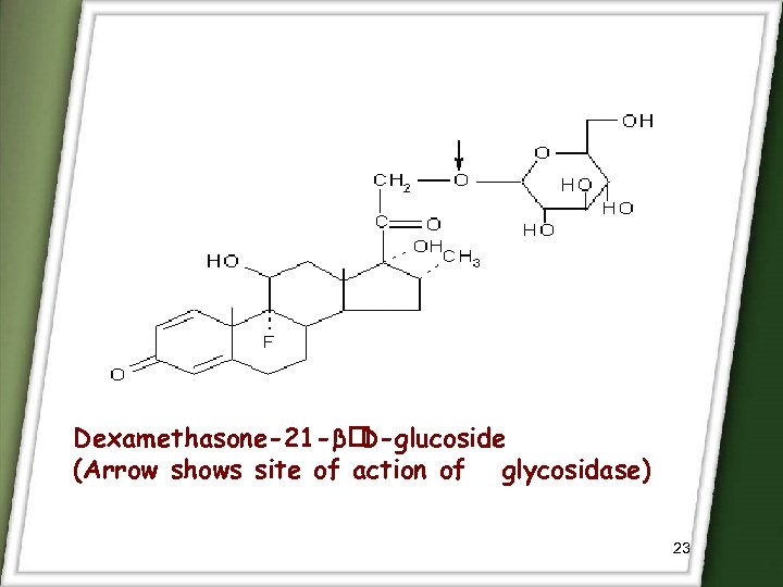 Dexamethasone-21 -β D-glucoside (Arrow shows site of action of glycosidase) 23 