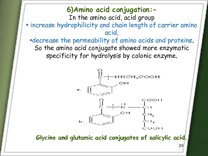 6)Amino acid conjugation: - In the amino acid, acid group • increase hydrophilicity and