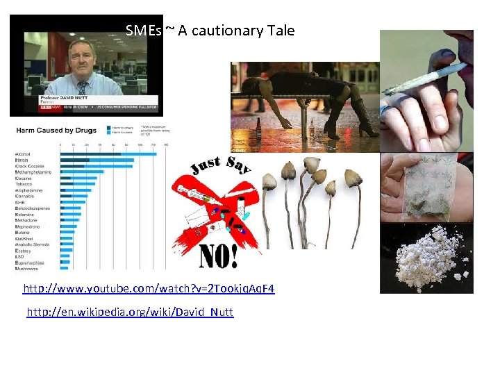 SMEs ~ A cautionary Tale http: //www. youtube. com/watch? v=2 Tookjq. Aq. F 4