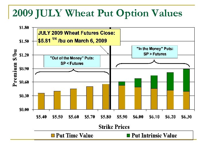 2009 JULY Wheat Put Option Values 