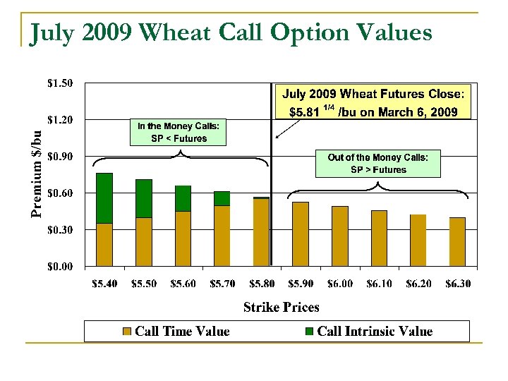 July 2009 Wheat Call Option Values 