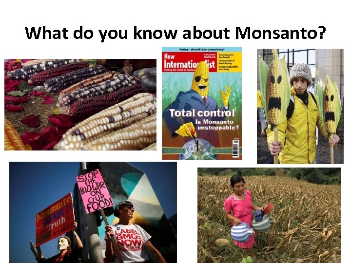 What do you know about Monsanto? 