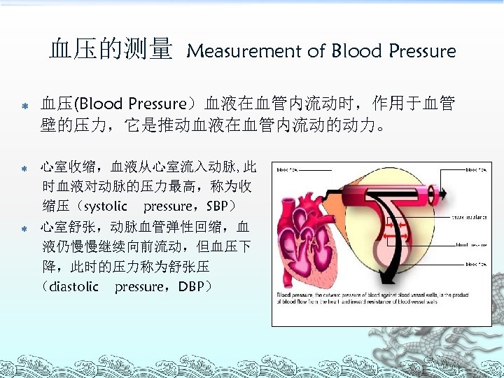 血压的测量 ß ß ß Measurement of Blood Pressure 血压(Blood Pressure）血液在血管内流动时，作用于血管 壁的压力，它是推动血液在血管内流动的动力。 心室收缩，血液从心室流入动脉, 此 时血液对动脉的压力最高，称为收