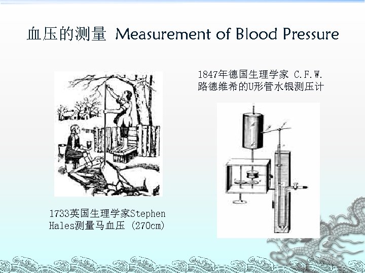 血压的测量 Measurement of Blood Pressure 1847年德国生理学家 C. F. W. 路德维希的U形管水银测压计 1733英国生理学家Stephen Hales测量马血压 (270 cm)