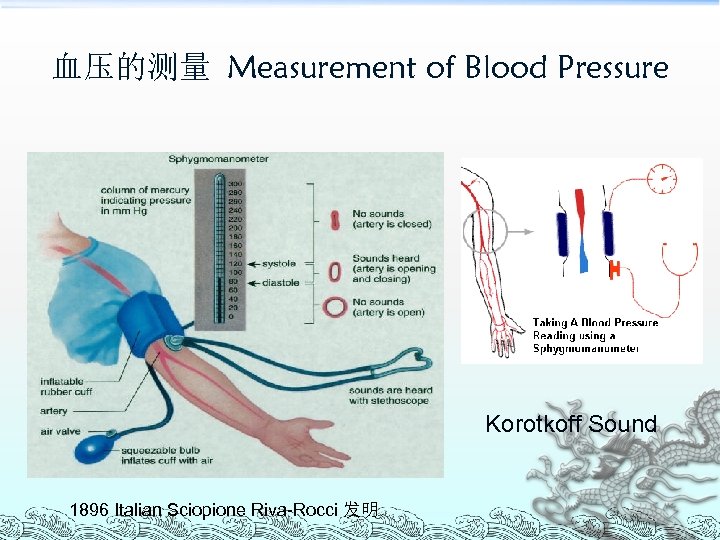 血压的测量 Measurement of Blood Pressure Korotkoff Sound 1896 Italian Sciopione Riva-Rocci 发明 