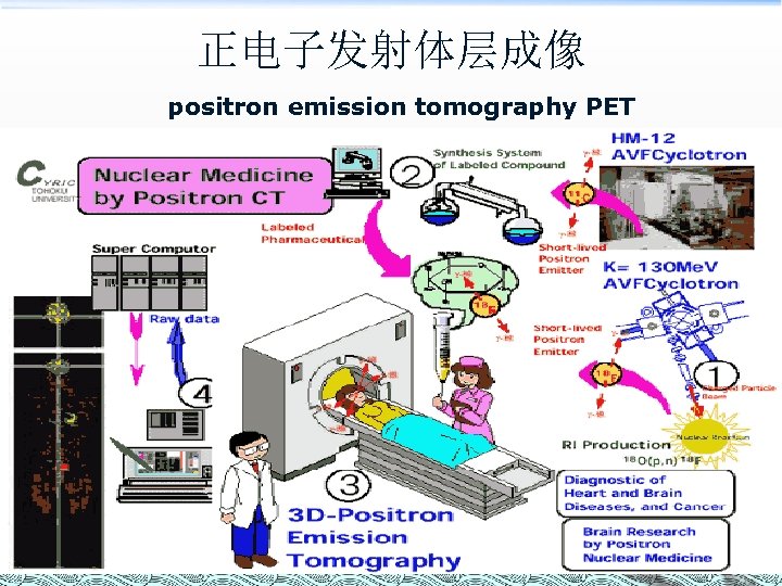 正电子发射体层成像 positron emission tomography PET 
