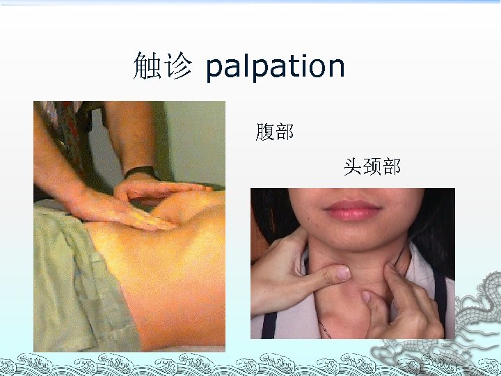 触诊 palpation 腹部 头颈部 