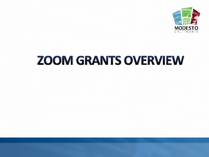 ZOOM GRANTS OVERVIEW 