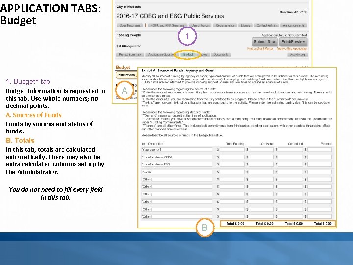 APPLICATION TABS: Budget 1 1. Budget* tab Budget information is requested in this tab.