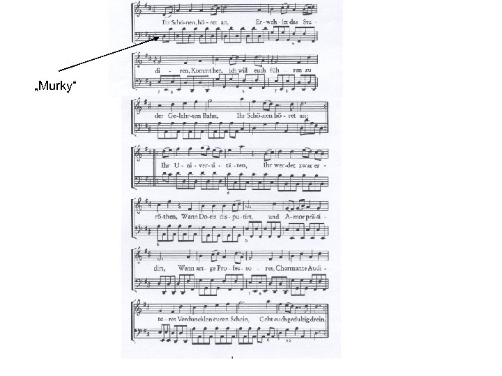 „Murky“ 