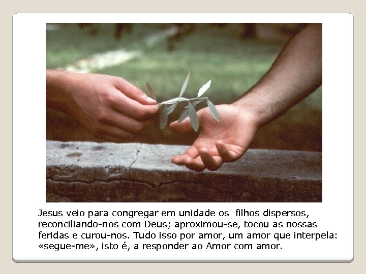 Jesus veio para congregar em unidade os filhos dispersos, reconciliando-nos com Deus; aproximou-se, tocou