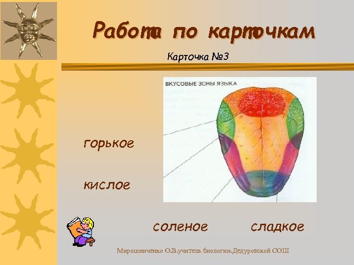 Какой цифрой на рисунке отмечена зона языка отвечающая за распознавание сладкого вкуса