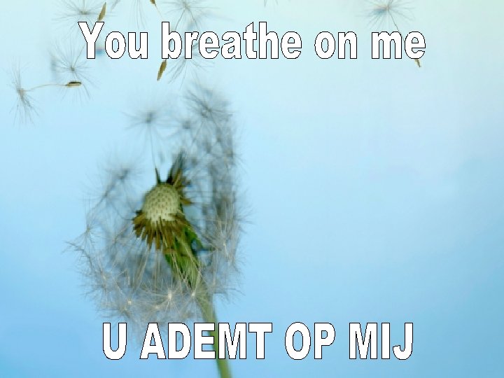 Liturgie Opw. 194 Kinderen zingen Kom aan boord Lz. 1 Petrus 2: 1 -10