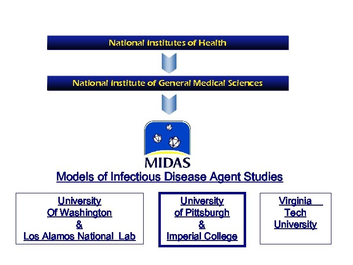 National Institutes of Health National Institute of General Medical Sciences Models of Infectious Disease