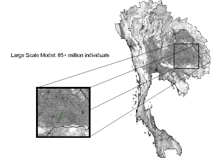Large Scale Model: 85+ million individuals 