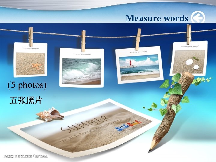Measure words (5 photos) 五张照片 