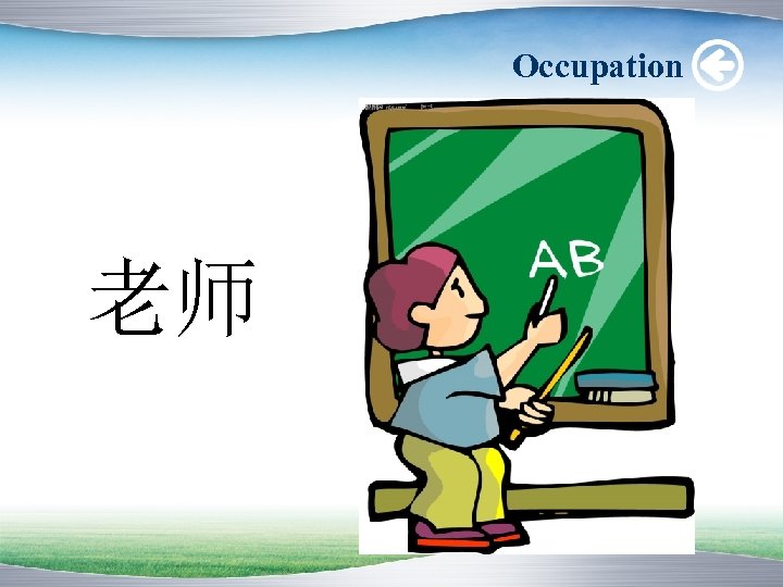 Occupation 老师 