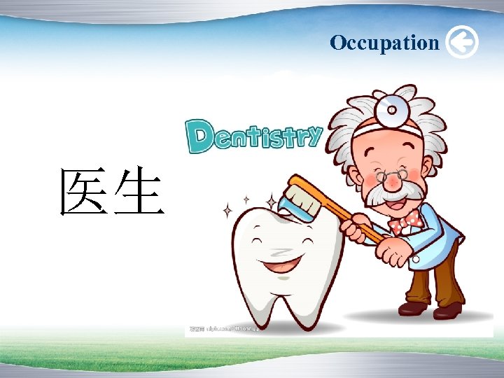 Occupation 医生 
