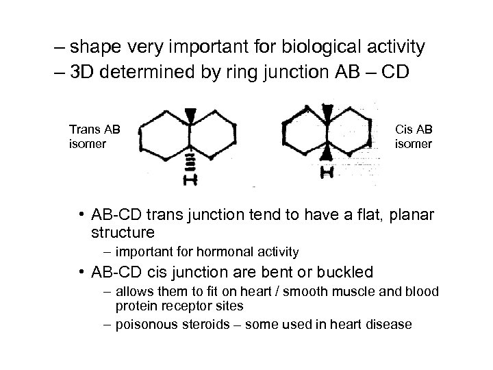 – shape very important for biological activity – 3 D determined by ring junction