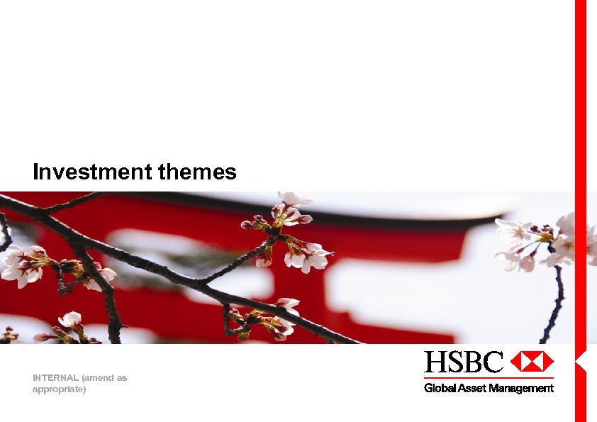 Investment themes INTERNAL (amend as appropriate) 